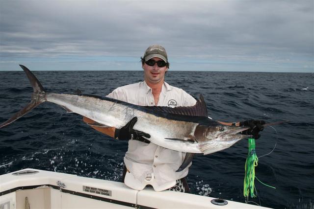 Wednesday Billfish